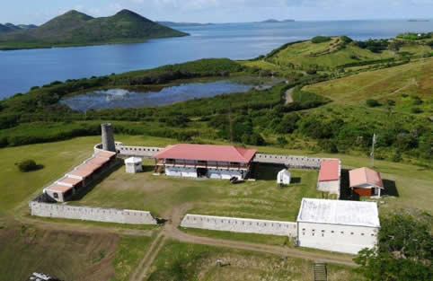 Association Marguerite Fort Teremba